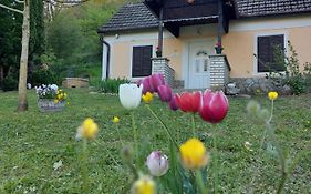 Bíbor Erdei Lak